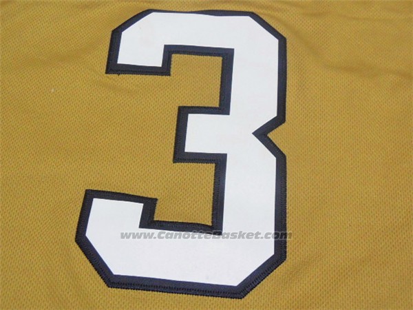 Maglia NCAA Wake Forest Demon Deacons Chris Paul #3 Or